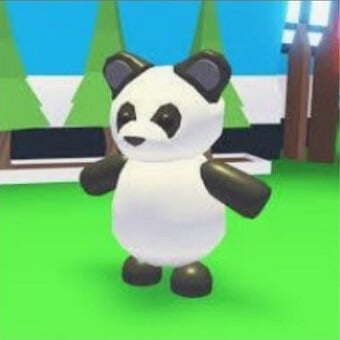 Un oso panda, mascota de adopt me